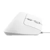 Trust Bayo II Maus Büro Rechtshänder USB Typ-A Optisch 2400 DPI