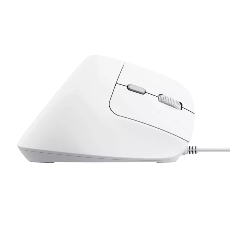 Trust Bayo II Maus Büro Rechtshänder USB Typ-A Optisch 2400 DPI