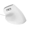 Trust Bayo II Maus Büro Rechtshänder USB Typ-A Optisch 2400 DPI