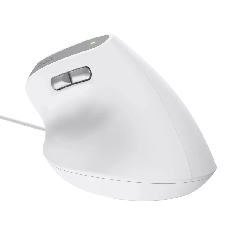 Trust Bayo II Maus Büro Rechtshänder USB Typ-A Optisch 2400 DPI