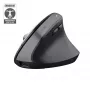 Trust Bayo+ Maus Büro Rechtshänder RF Wireless + Bluetooth Optisch 2400 DPI