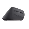 Trust Bayo+ Maus Büro Rechtshänder RF Wireless + Bluetooth Optisch 2400 DPI