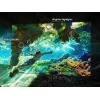 TV Samsung 75 Zoll Neo QLED QN85F 4K UHD, Neo QLED, 3840×2160, Tizen, Wi‑Fi, HDMI×4, 75 Zoll (189 cm), Silber