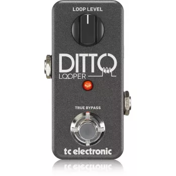 Looper TC Electronic Ditto Looper Schwarz Gitarre