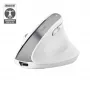 Trust Bayo+ Maus Büro Rechtshänder RF Wireless + Bluetooth Optisch 2400 DPI