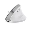 Trust Bayo+ Maus Büro Rechtshänder RF Wireless + Bluetooth Optisch 2400 DPI