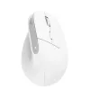 Trust Bayo+ Maus Büro Rechtshänder RF Wireless + Bluetooth Optisch 2400 DPI