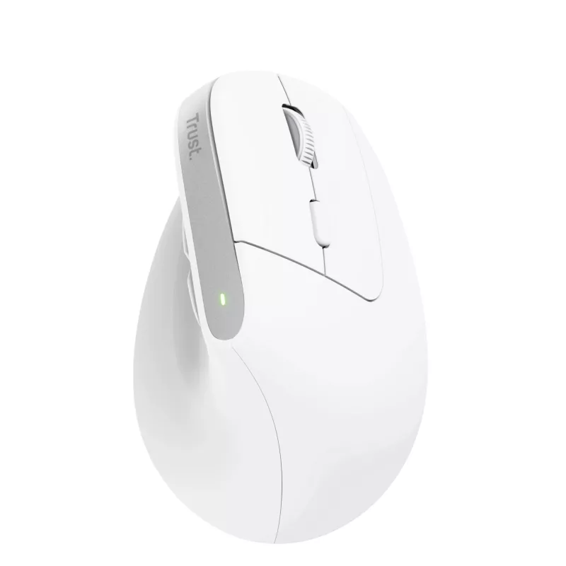 Trust Bayo+ Maus Büro Rechtshänder RF Wireless + Bluetooth Optisch 2400 DPI