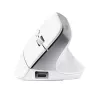 Trust Bayo+ Maus Büro Rechtshänder RF Wireless + Bluetooth Optisch 2400 DPI