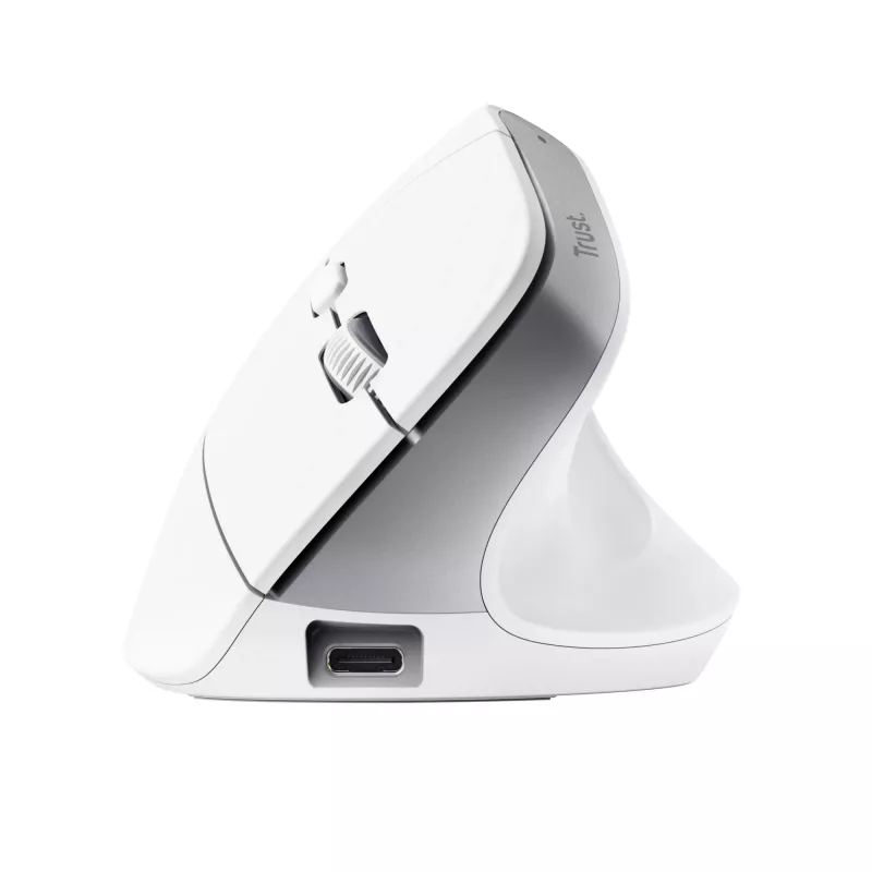 Trust Bayo+ Maus Büro Rechtshänder RF Wireless + Bluetooth Optisch 2400 DPI