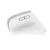 Trust Bayo+ Maus Büro Rechtshänder RF Wireless + Bluetooth Optisch 2400 DPI