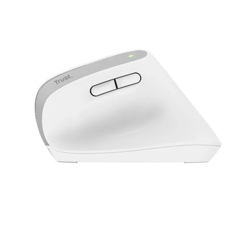 Trust Bayo+ Maus Büro Rechtshänder RF Wireless + Bluetooth Optisch 2400 DPI