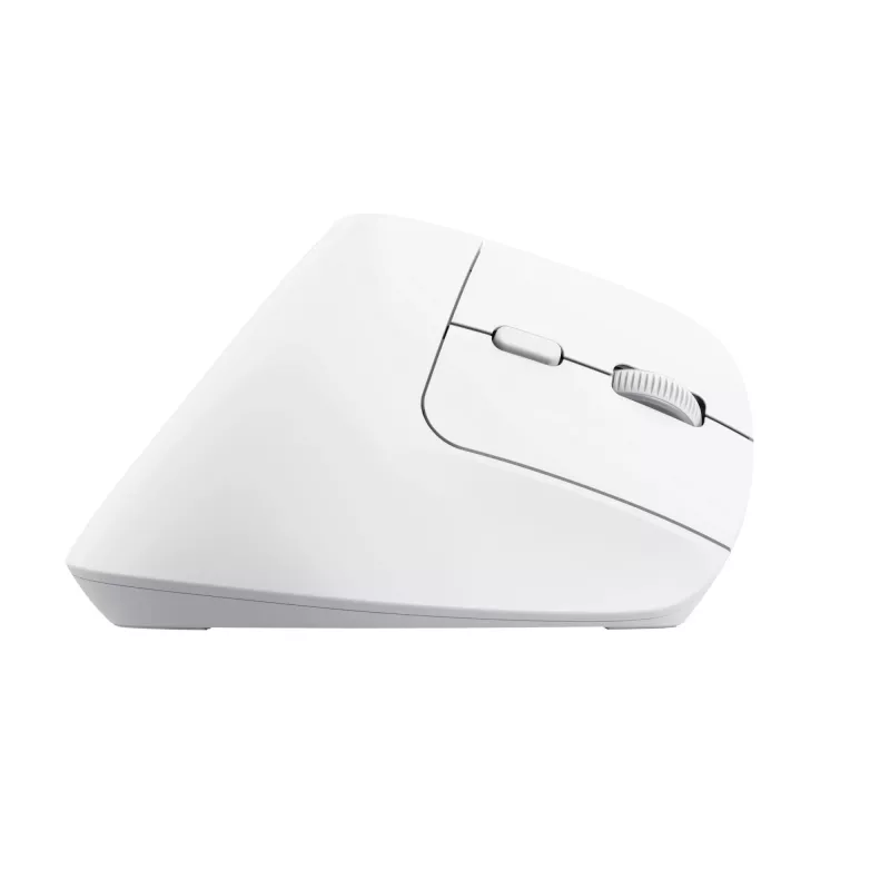 Trust Bayo+ Maus Büro Rechtshänder RF Wireless + Bluetooth Optisch 2400 DPI
