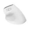 Trust Bayo+ Maus Büro Rechtshänder RF Wireless + Bluetooth Optisch 2400 DPI