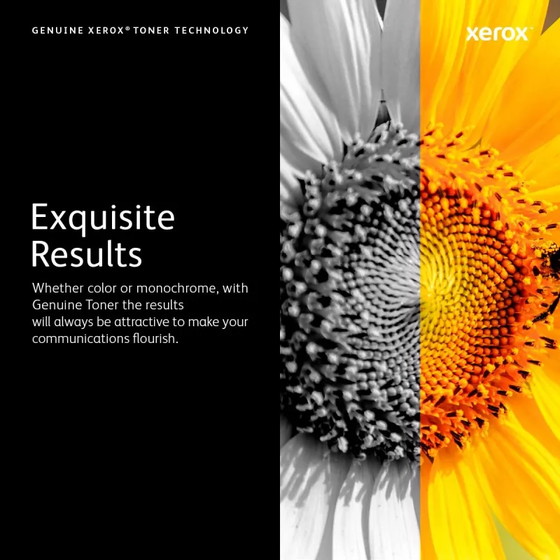 XEROX Resttonerbehälter - 20000 Seiten