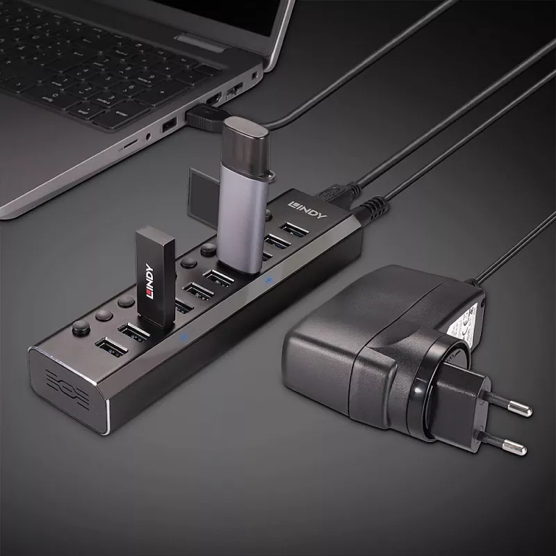 Lindy 10 Port USB 3.0 Hub mit Ein-/Ausschaltern
