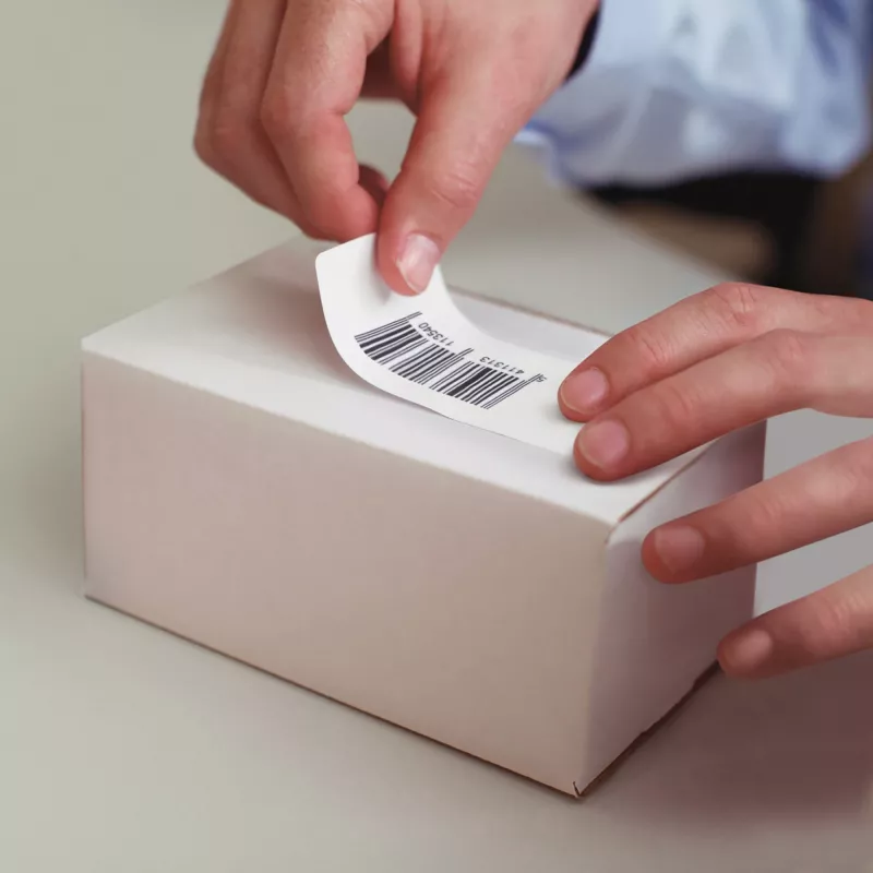 DYMO Authentic LabelWriter Mehrzwecketiketten 32 mm x 57 mm 6 Rollen mit 1.000 leicht ablösbaren Etiketten (6.000 Stück) Selbstklebend für LabelWriter-Etikettendrucker