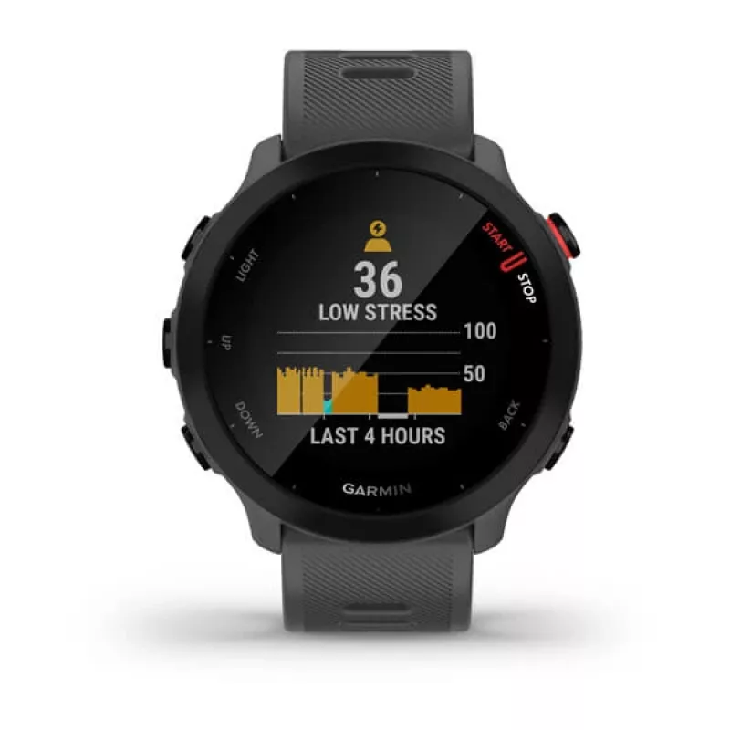 Smartwatch GARMIN Forerunner 55, rund 42 mm Gehäuse, grau, Silikonarmband, GPS/GLONASS/Galileo, 5 ATM Wasserdichtigkeit