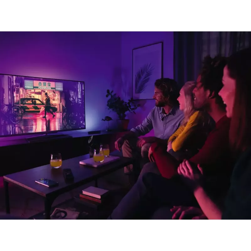 Philips Hue White and Colour Ambience Play Lightbar Einzelpack