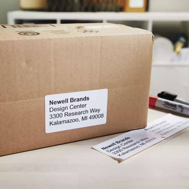 DYMO Authentic LabelWriter Hochkapazitäts-Versandetiketten | (59 mm x 102 mm) | 2 Rollen mit 575 leicht ablösbaren Etiketten (1.150 Versandetiketten) | Selbstklebend | für LabelWriter 4XL/5XL Etikettiergeräte