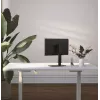 Monitor-Tischständer GEMBIRD MS-D1ST-02 — höhenverstellbar, vollbeweglich für 17–32 Zoll Bildschirme, max. 8 kg, VESA 75x75–100x100, schwarz