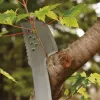 Gartenmachete Fiskars 1051236 Edelstahl Orangener Griff