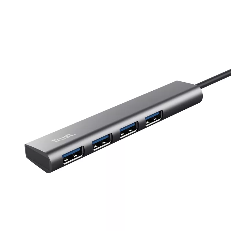 Trust Halyx USB 3.2 Gen 1 (3.1 Gen 1) Typ-A 5 Mbit/s Grau