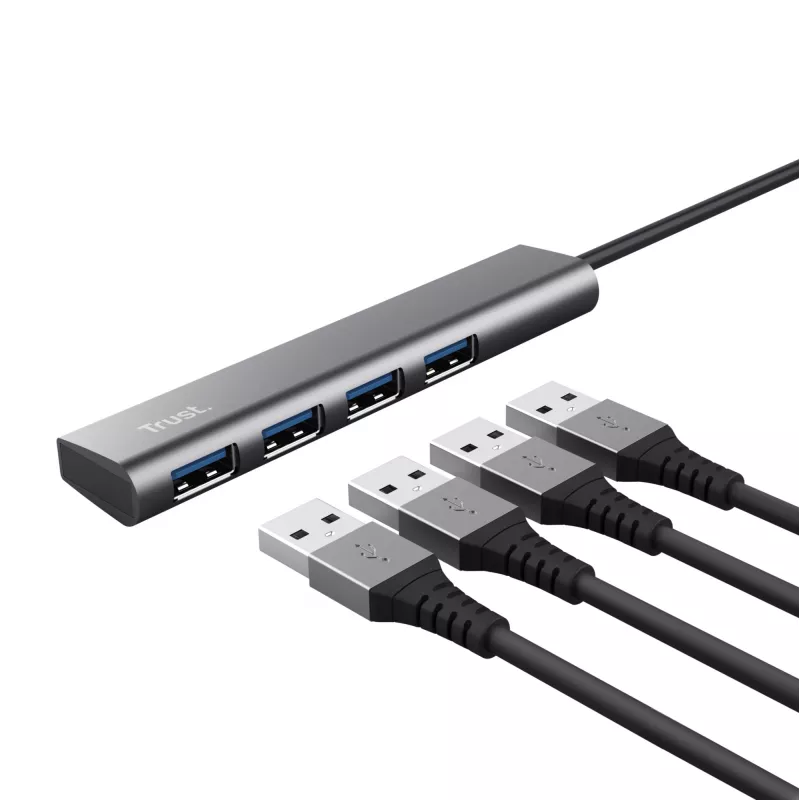 Trust Halyx USB 3.2 Gen 1 (3.1 Gen 1) Typ-A 5 Mbit/s Grau