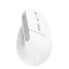 Trust Bayo II Maus Büro Rechtshänder RF Kabellos Optisch 2400 DPI