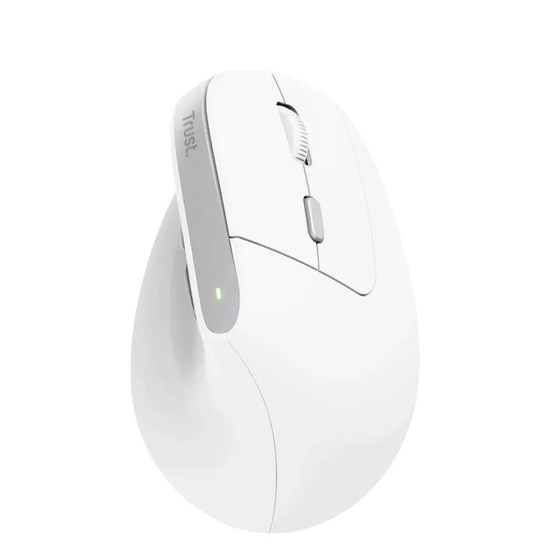 Trust Bayo II Maus Büro Rechtshänder RF Kabellos Optisch 2400 DPI