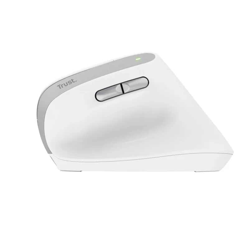 Trust Bayo II Maus Büro Rechtshänder RF Kabellos Optisch 2400 DPI