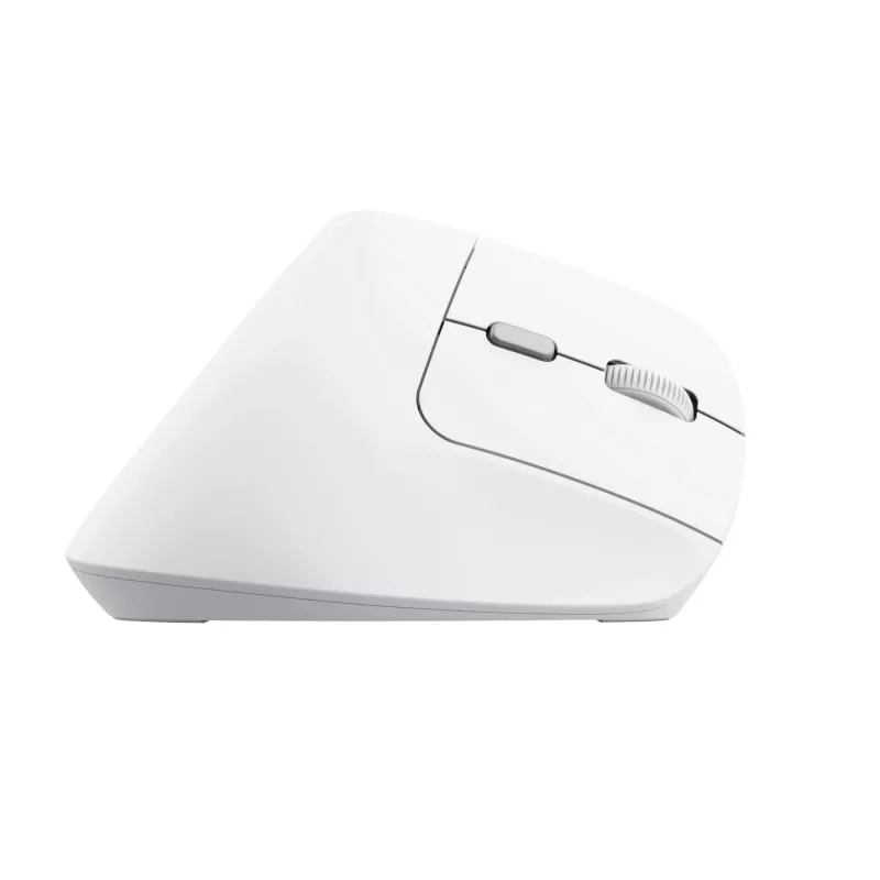 Trust Bayo II Maus Büro Rechtshänder RF Kabellos Optisch 2400 DPI