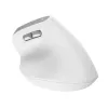 Trust Bayo II Maus Büro Rechtshänder RF Kabellos Optisch 2400 DPI