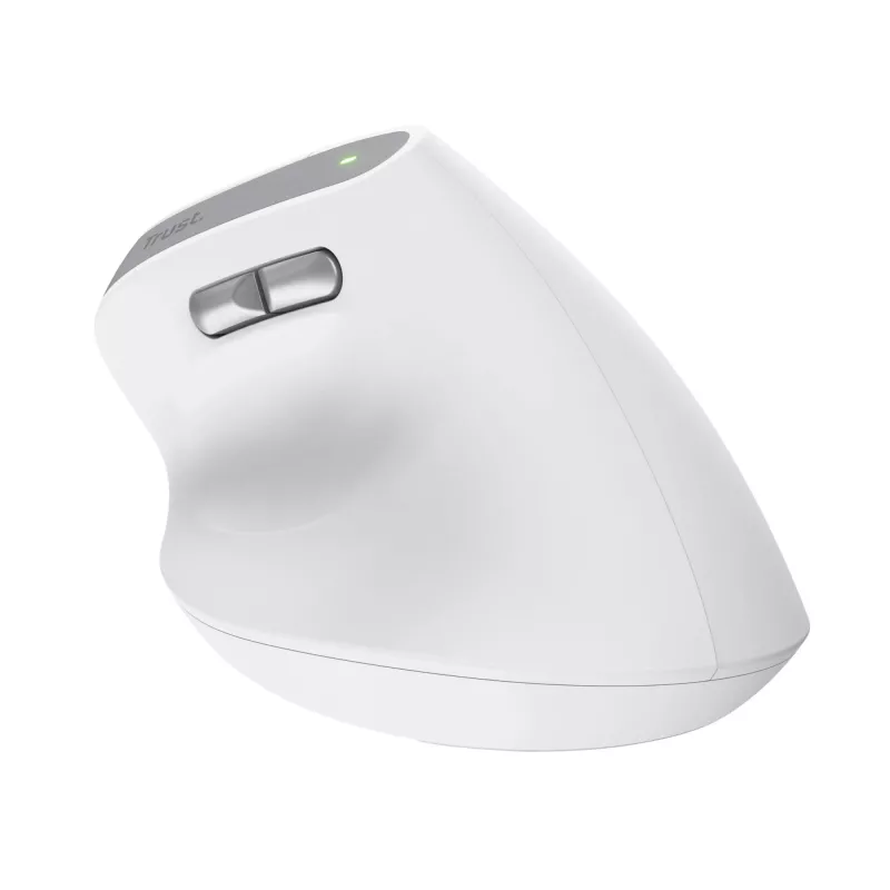 Trust Bayo II Maus Büro Rechtshänder RF Kabellos Optisch 2400 DPI