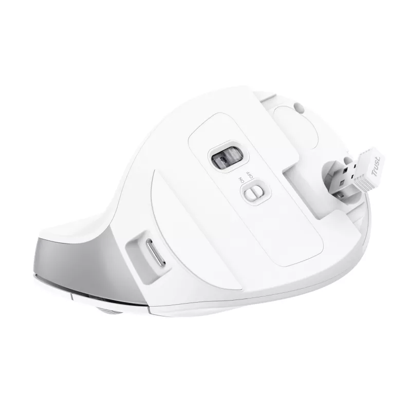 Trust Bayo II Maus Büro Rechtshänder RF Kabellos Optisch 2400 DPI