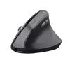 Trust Bayo II Maus Medizinisch Rechtshänder RF Wireless Optisch 2400 DPI
