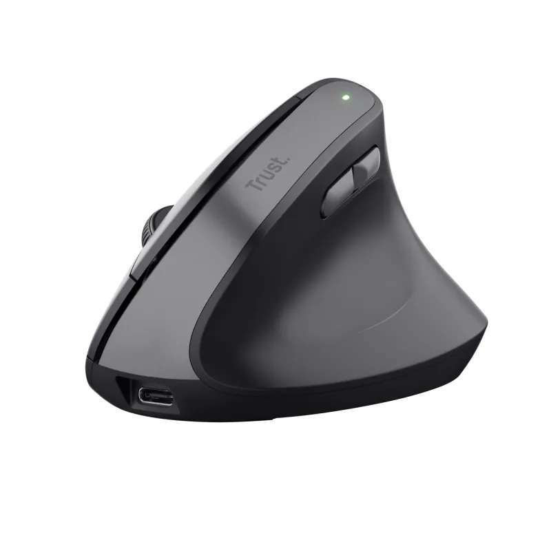 Trust Bayo II Maus Medizinisch Rechtshänder RF Wireless Optisch 2400 DPI