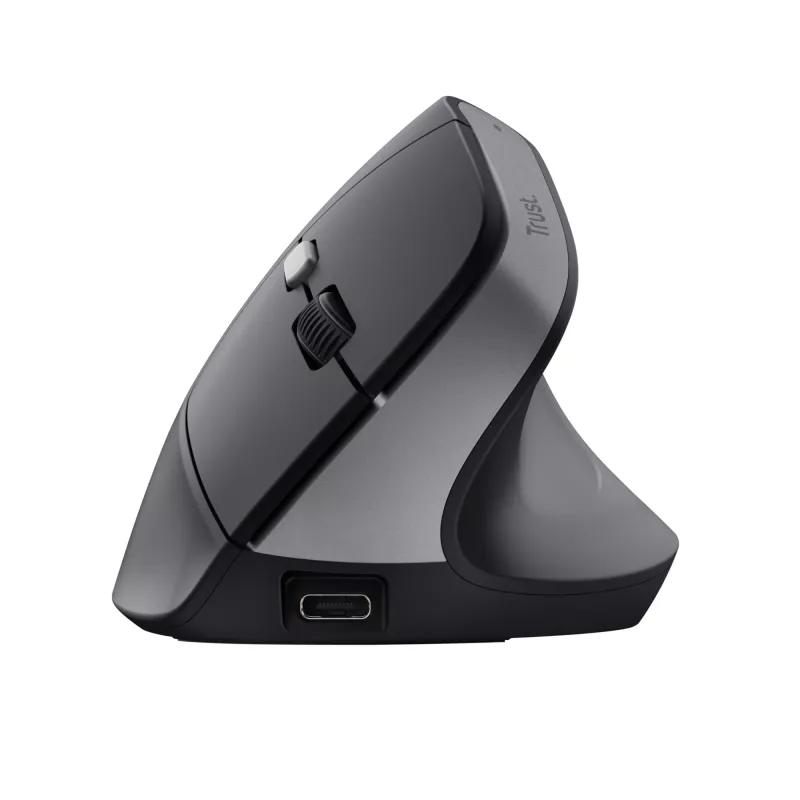 Trust Bayo II Maus Medizinisch Rechtshänder RF Wireless Optisch 2400 DPI