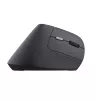 Trust Bayo II Maus Medizinisch Rechtshänder RF Wireless Optisch 2400 DPI