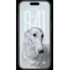 Smartphone Apple iPhone 17 Pro 6,3 Zoll 256GB Silber