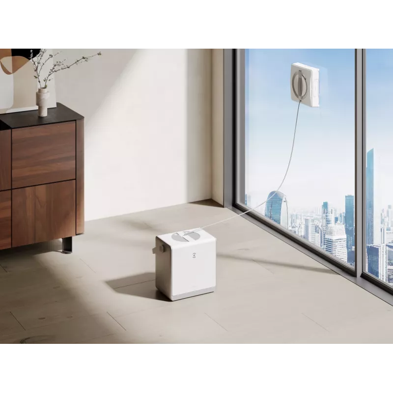 Ecovacs WINBOT W2 2600 mAh