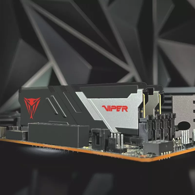 PATRIOT MEMORY Speicher – Viper Venom – 32 GB 2 x 16 GB DDR5 7000 MHz