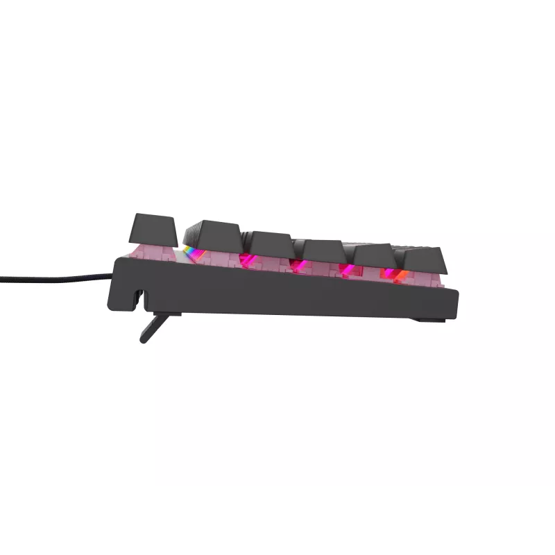GENESIS Thor 303 TKL Tastatur Gaming USB QWERTY Spanisch Schwarz