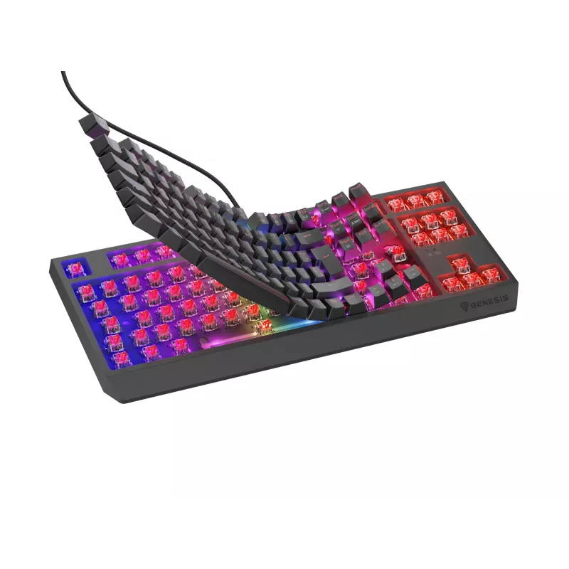 GENESIS Thor 230 TKL Tastatur Gaming USB QWERTY Spanisch Schwarz