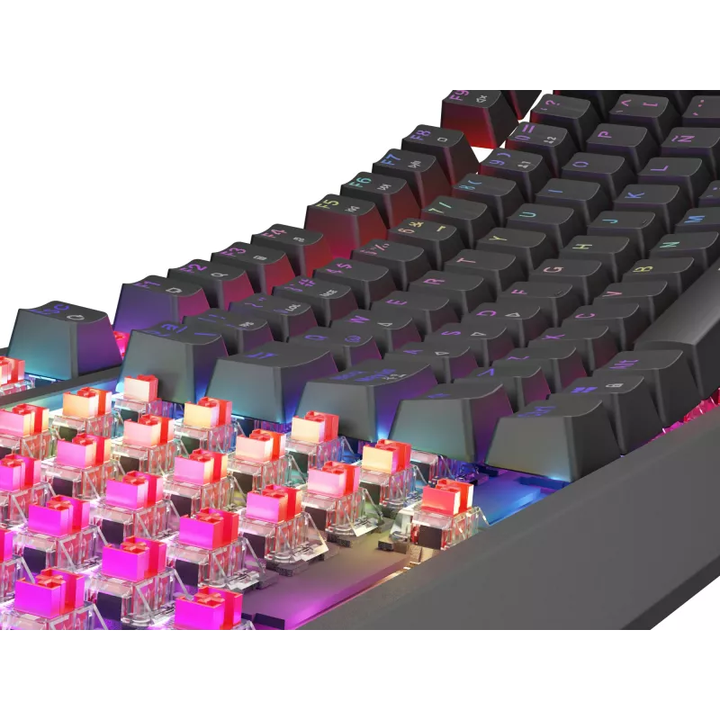 GENESIS Thor 230 TKL Tastatur Gaming USB QWERTY Spanisch Schwarz