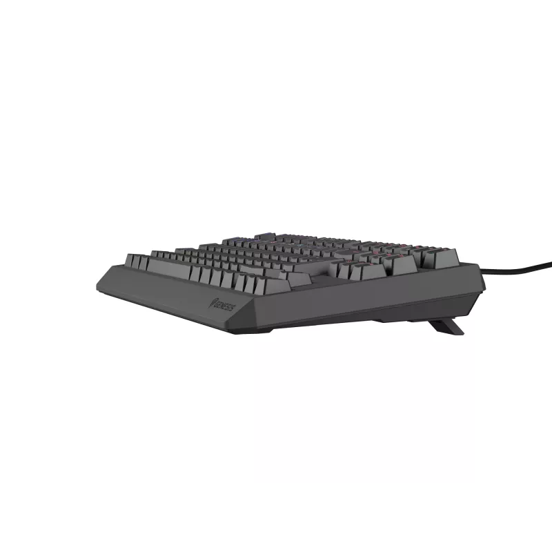 GENESIS Thor 230 TKL Tastatur Gaming USB QWERTY Spanisch Schwarz