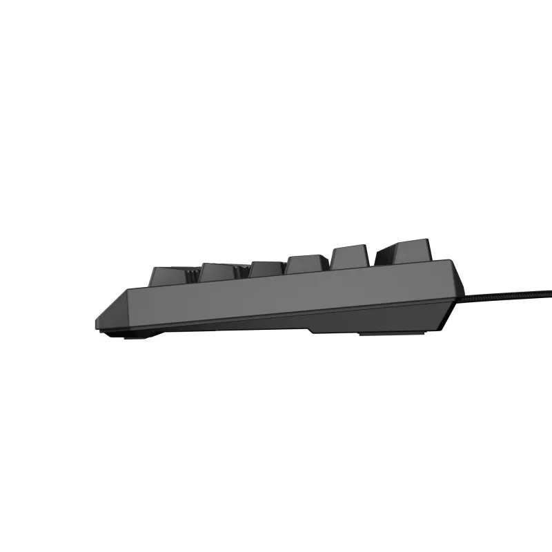 GENESIS Thor 230 TKL Tastatur Gaming USB QWERTY Spanisch Schwarz