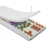 GENESIS Thor 230 TKL Tastatur Gaming USB QWERTY US-Englisch Weiß