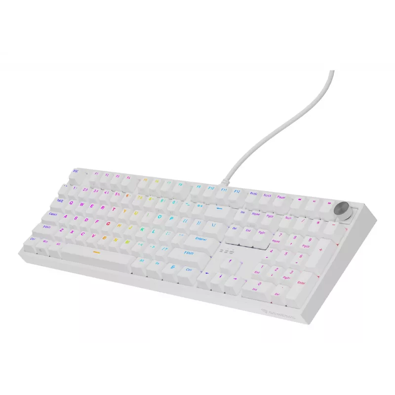 GENESIS NKG-2300 Tastatur Universal USB QWERTY Englisch Weiß