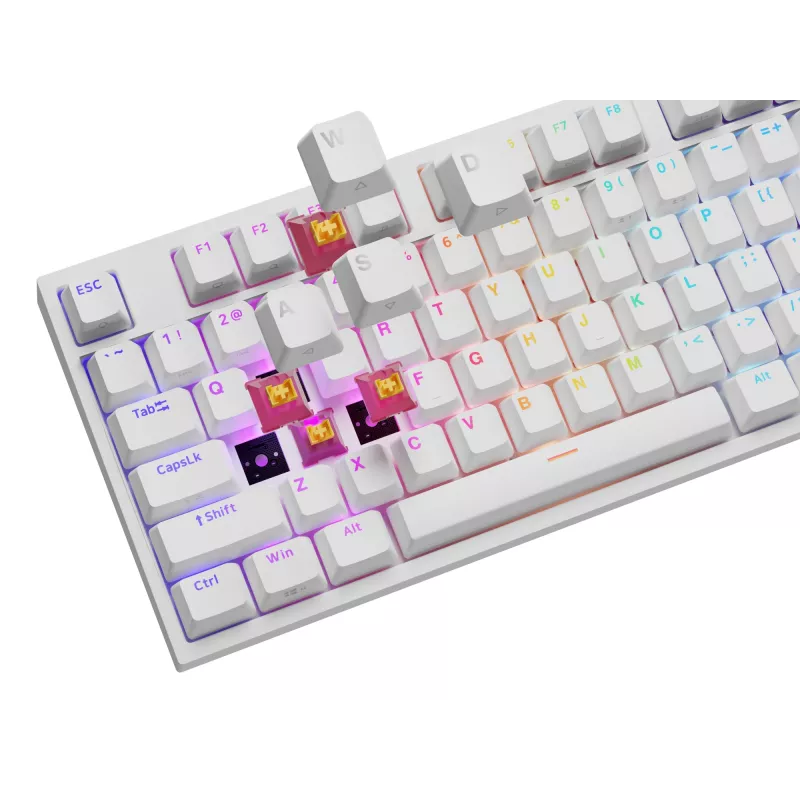 GENESIS NKG-2300 Tastatur Universal USB QWERTY Englisch Weiß